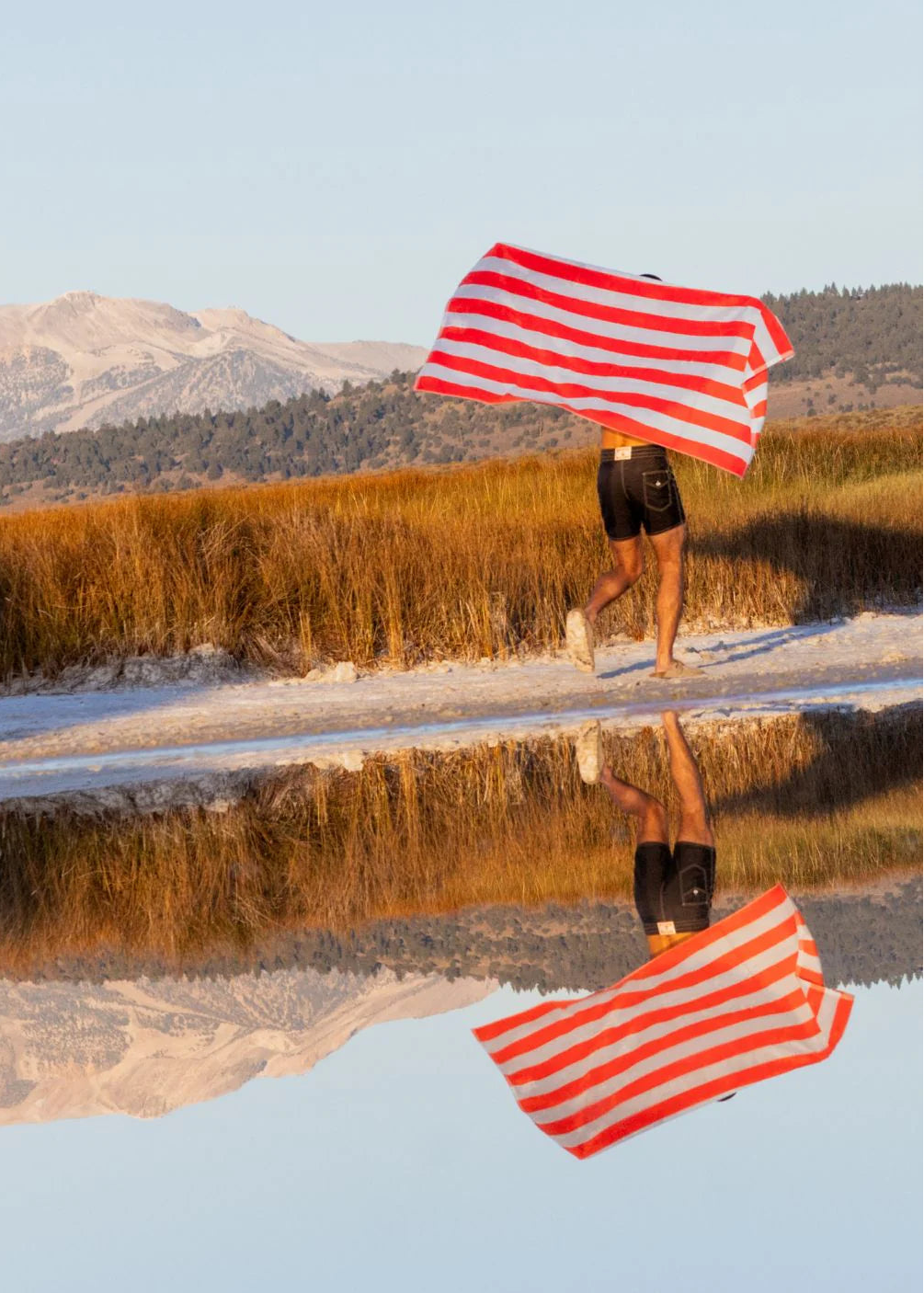 Picnic Beach Towel — Hommey