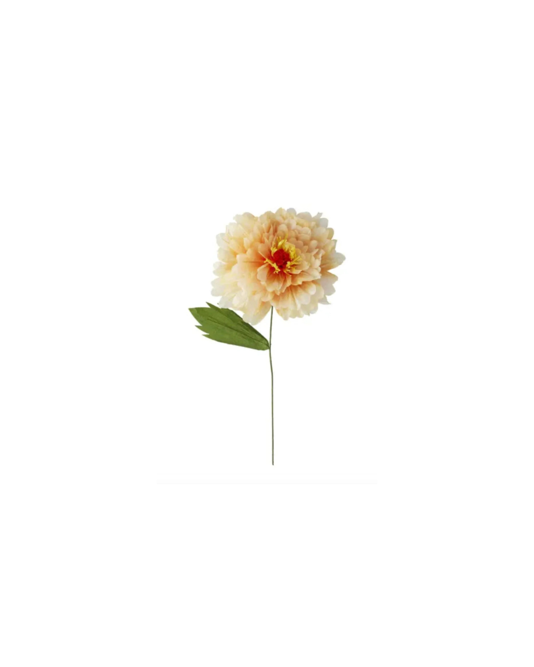 Dahlia — Paper Flower