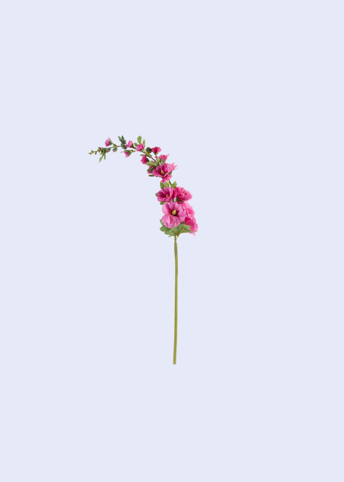 Hollyhock Flower Stem — 95cm