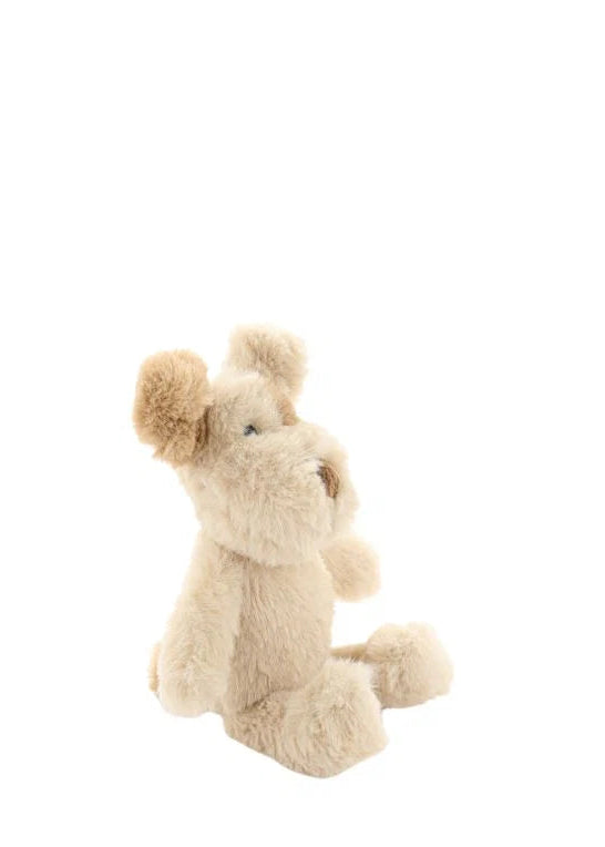Buddy the Dog