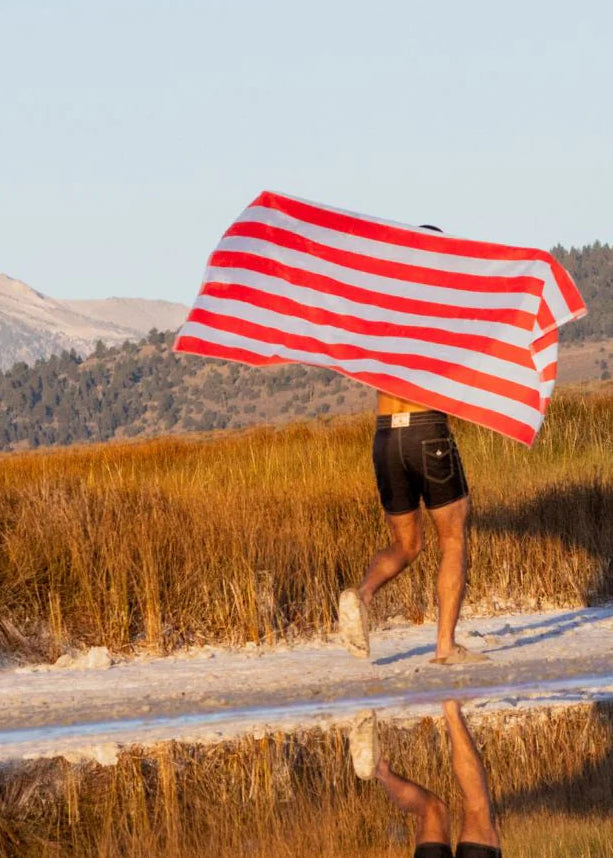 Hommey Picnic Beach Towel — FINAL SALE