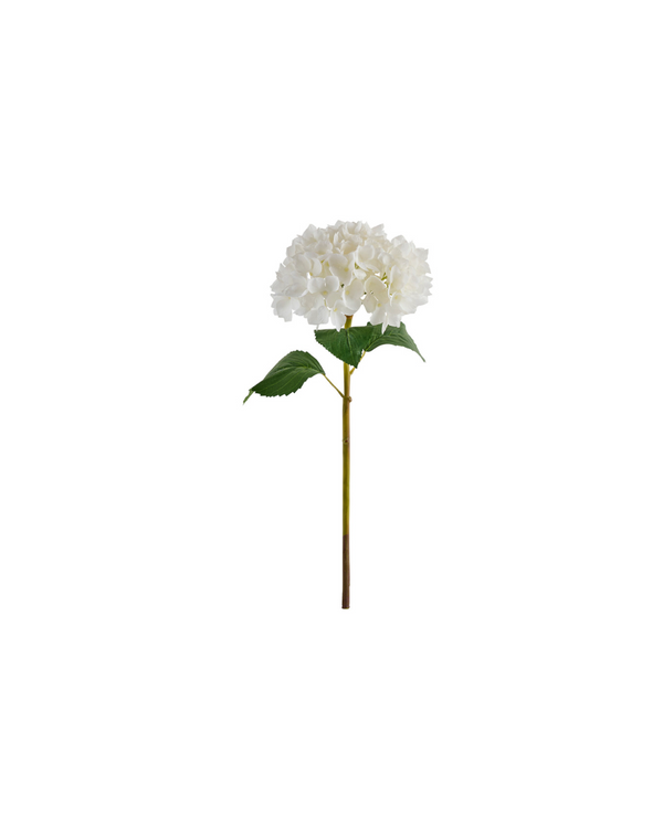 Hydrangea Stem — White