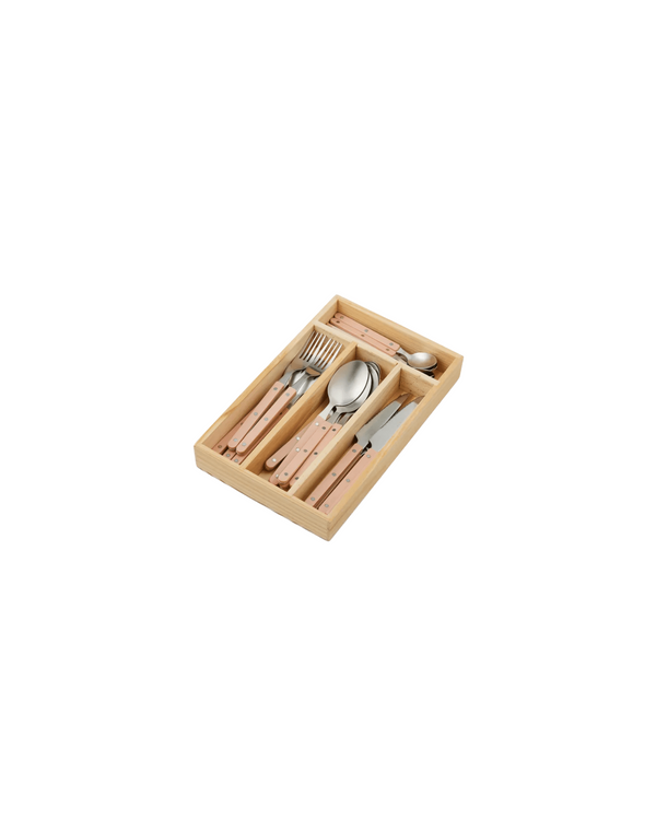 Remy Cutlery Set — Salmon