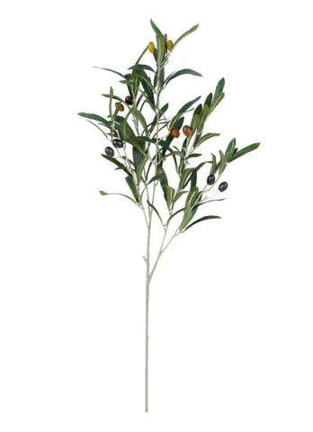 Olive Stem