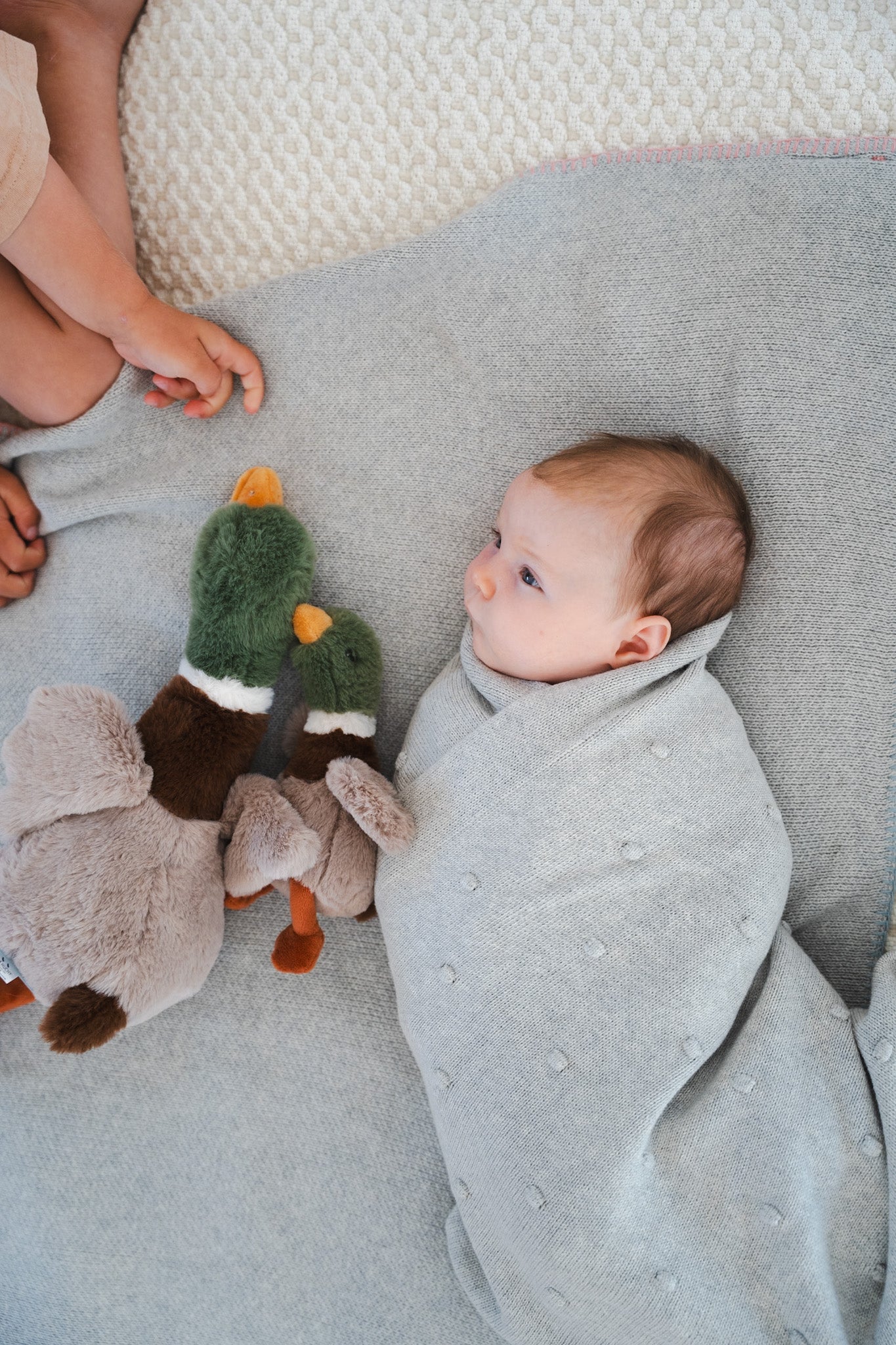 Mini Hugo the Mallard Duck