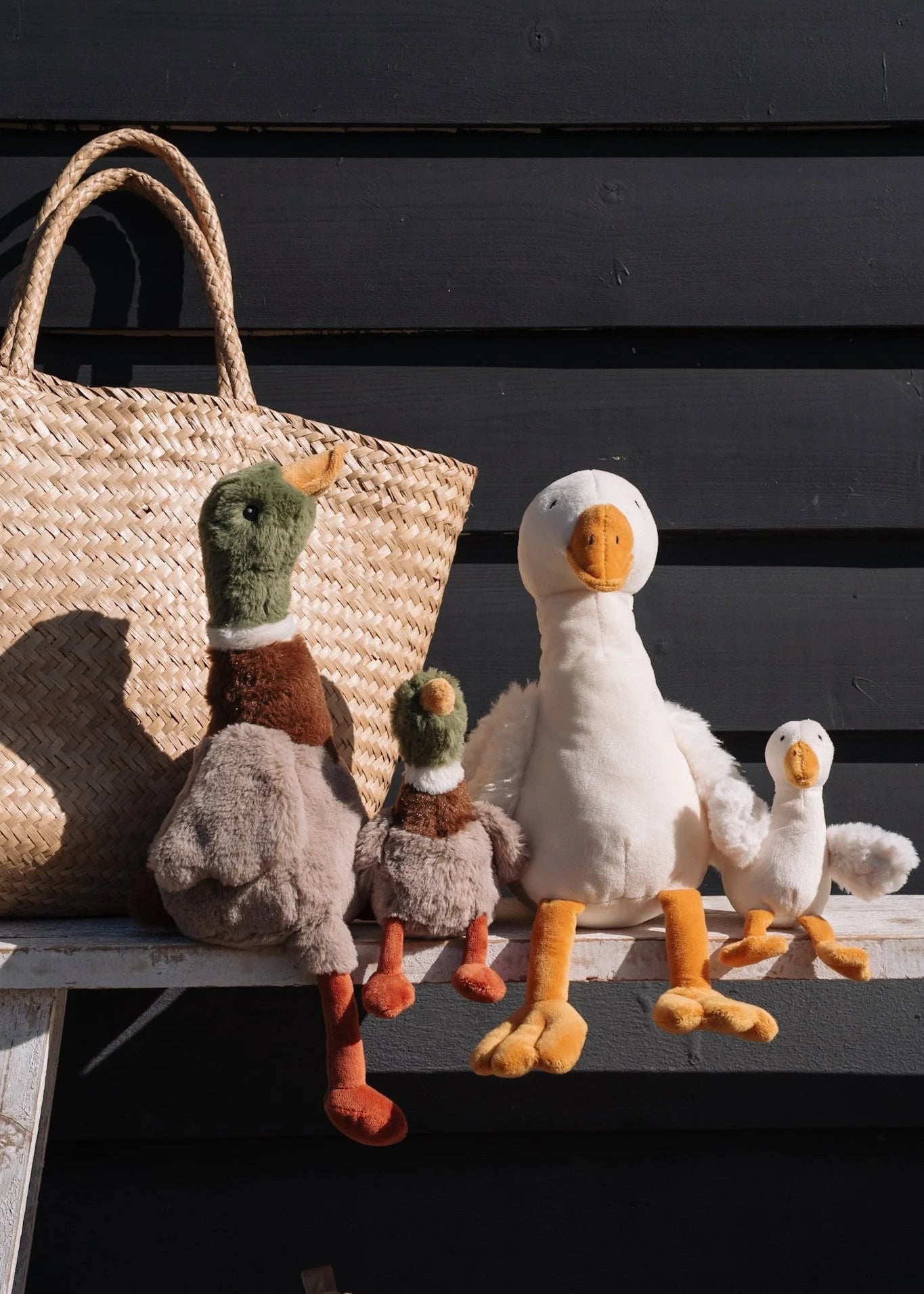 Mini Hugo the Mallard Duck